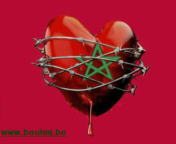 brucelee maroc love
